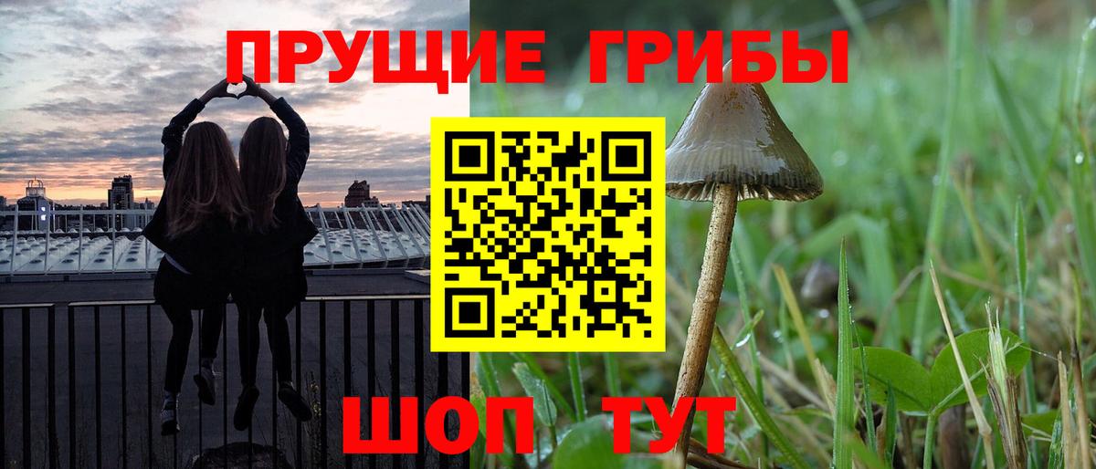 Галлюциногенные грибы Cubensis  Вход с VPN  Люберцы 