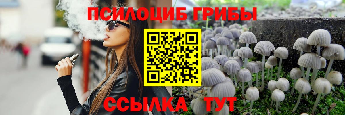 Псилоцибиновые грибы Psilocybe Люберцы